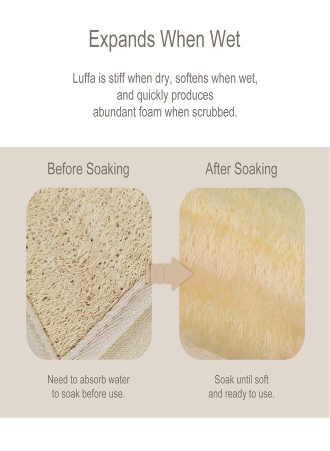 Jaasuee Natural Egyptian Loofah Back Scrubber for Shower Use, Exfoliating Deep Cleansing for Men and Women - Image 5