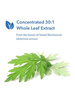 Allergy Research Group Artemisia Sweet Wormwood Extract 100 Vegetarian Capsules  - Image 5