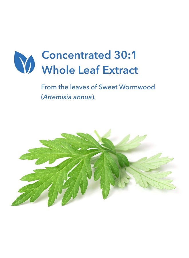 Allergy Research Group مستخلص الشيح الحلو 100 كبسولة نباتية - Image 5