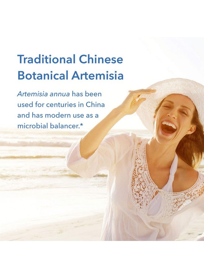 Allergy Research Group مستخلص الشيح الحلو 100 كبسولة نباتية - Image 4