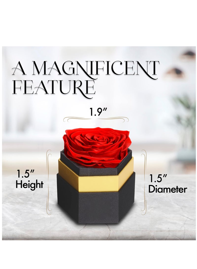 Excefore Hexagon Single Forever Red Rose Box, Preserved Roses in a Box, Immortal Roses in a Box That Last A Year, Eternal Rose Preserved Flowers for Delivery Prime Mothers Day - Image 4