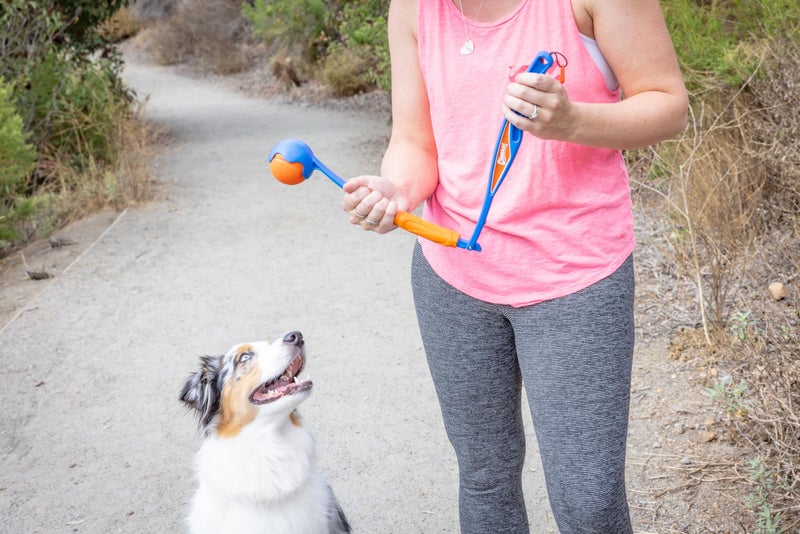 Chuckit! Fetch & Fold Mini 18M Dog Ball Launcher - Image 5