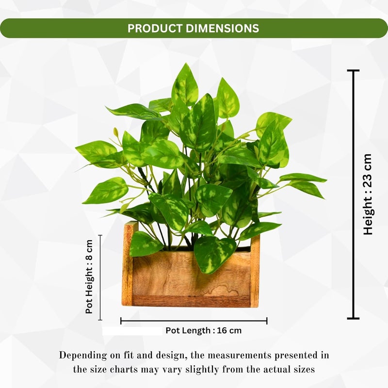 fancymart Artificial Money Plant Leaves in Wooden Pot with Height 23 cm pefect Decoration for Home & Office Space - Image 3