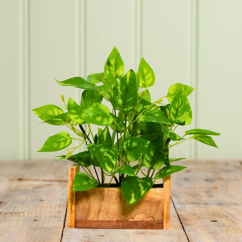 fancymart Artificial Money Plant Leaves in Wooden Pot with Height 23 cm pefect Decoration for Home & Office Space - Image 2