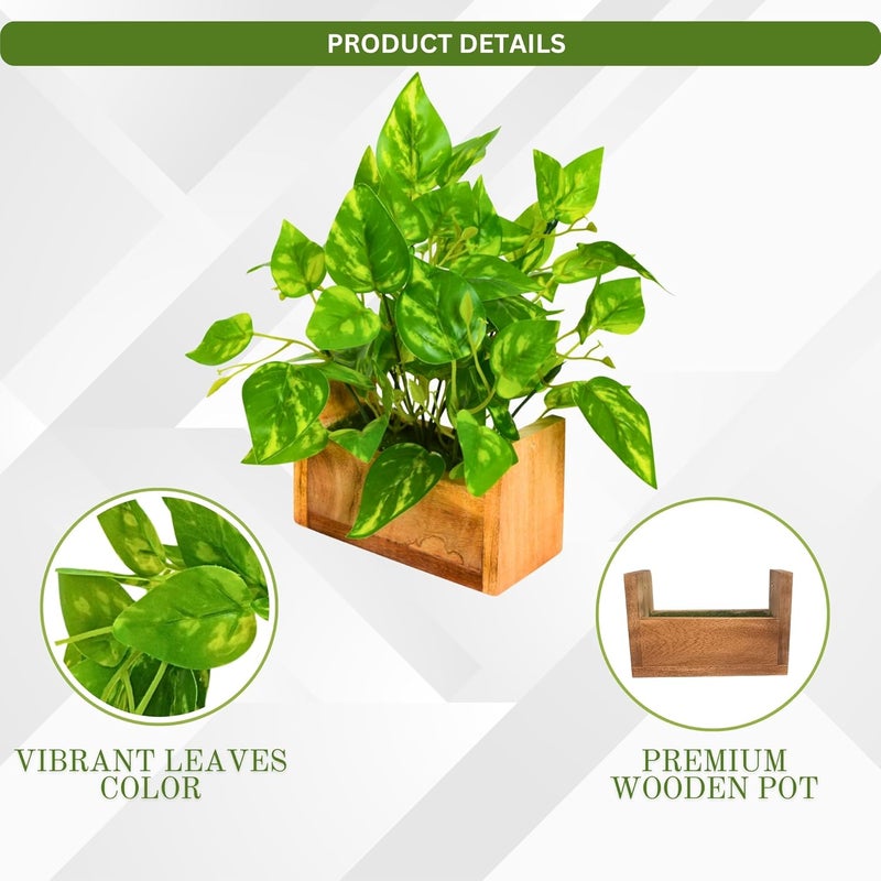 fancymart Artificial Money Plant Leaves in Wooden Pot with Height 23 cm pefect Decoration for Home & Office Space - Image 4