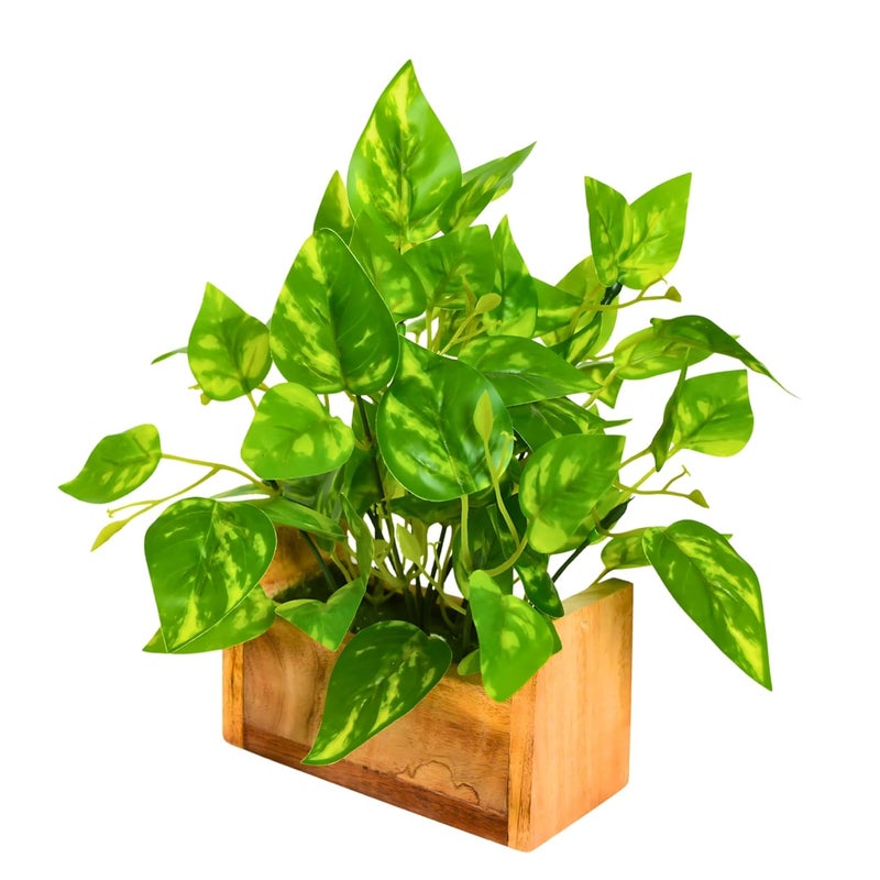 fancymart Artificial Money Plant Leaves in Wooden Pot with Height 23 cm pefect Decoration for Home & Office Space - Image 1