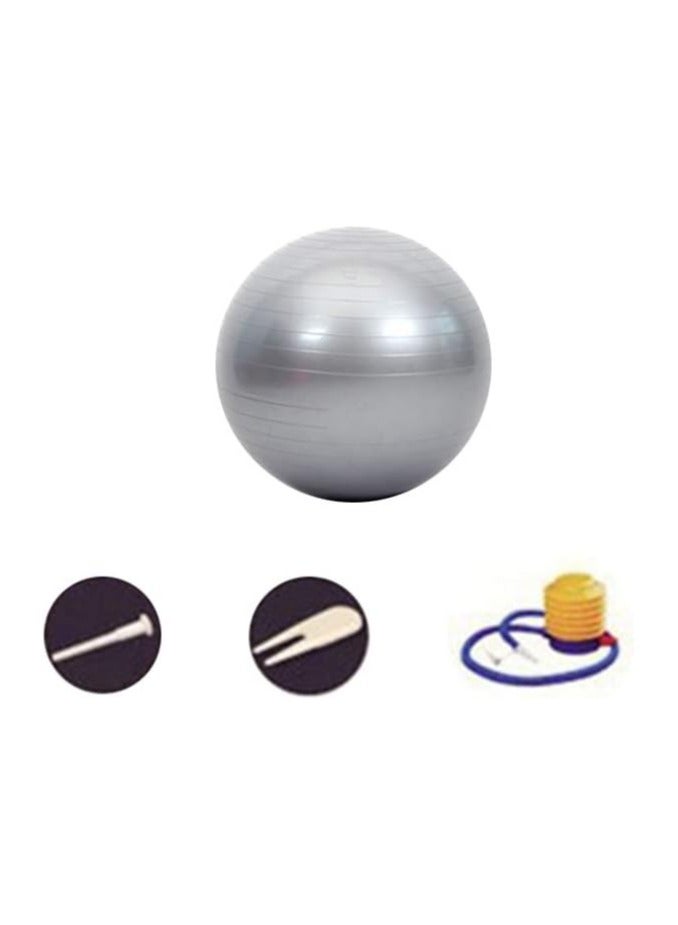 YOGA Pilates Balls - 45 cm/55 cm/65 cm/75 cm/85 cm/95 cm Anti-Burst Exercise Ball Included Pump for Yoga, Balancing, Fitness, Training (Red & Blue & Blue & Purple Pink & Silver)  - Image 1