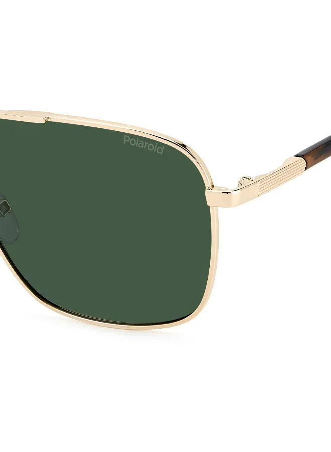 Polaroid  Square Sunglasses for Men | Best Price UAE
