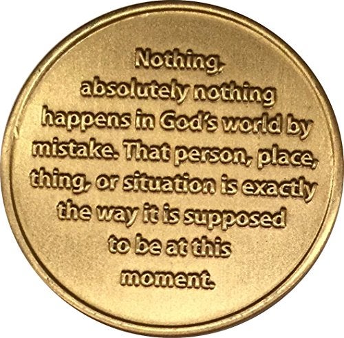 RecoveryChip Acceptance is The Answer Beach Sunrise Bronze AA Medallion Chip Page 449 417 - Image 5