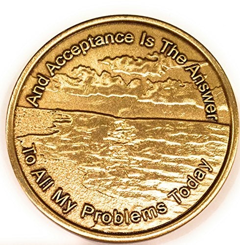 RecoveryChip Acceptance is The Answer Beach Sunrise Bronze AA Medallion Chip Page 449 417 - Image 1