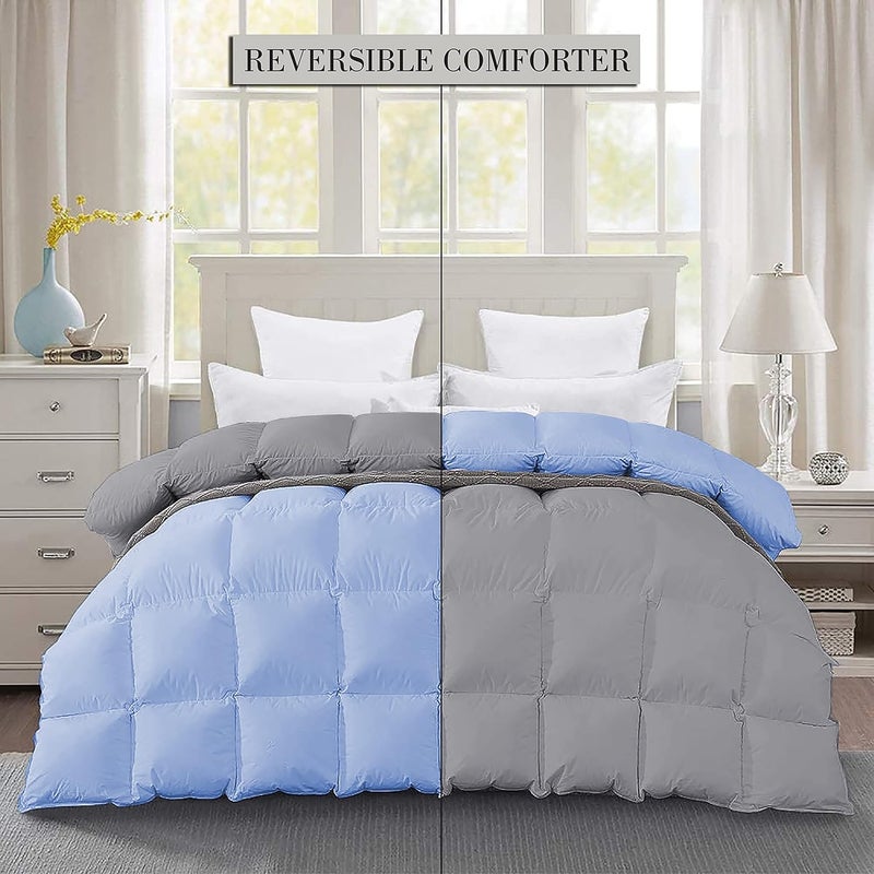 Filbert Premium 300 GSM Comforter Super Soft Fluffy Revesible Comforter 92 x 106 Inches233cm x 269cm King Size ComforterSilverSky Blue - Image 2