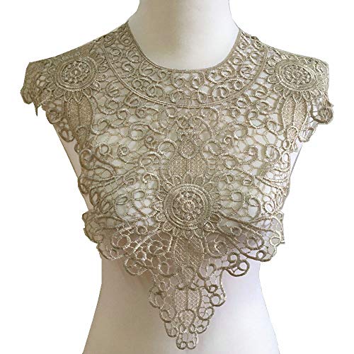 ZALALAA 1pcs Embroidered Floral Lace Neckline Neck Collar Trim Clothes Sewing Applique Edge Light Coffee - Image 1