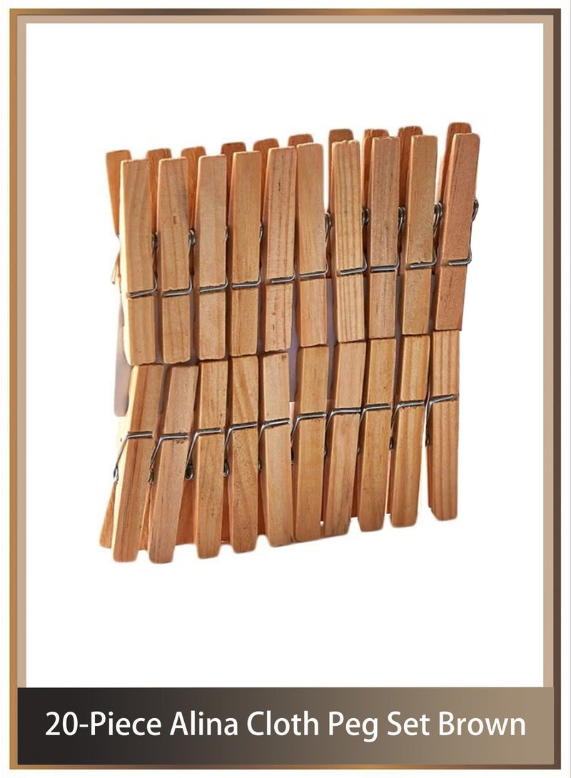 Home Box 20-Piece Clothes Pegs Set,Laundry Pegs Clothes Pins for Socks and Underwear and Food and Sealing and Photos  Brown - Image 1