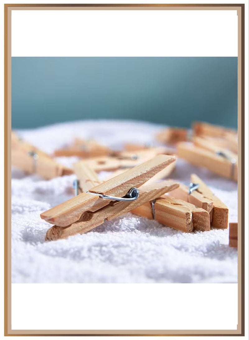 Home Box 20-Piece Clothes Pegs Set,Laundry Pegs Clothes Pins for Socks and Underwear and Food and Sealing and Photos  Brown - Image 3