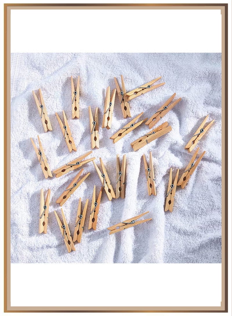 Home Box 20-Piece Clothes Pegs Set,Laundry Pegs Clothes Pins for Socks and Underwear and Food and Sealing and Photos  Brown - Image 2