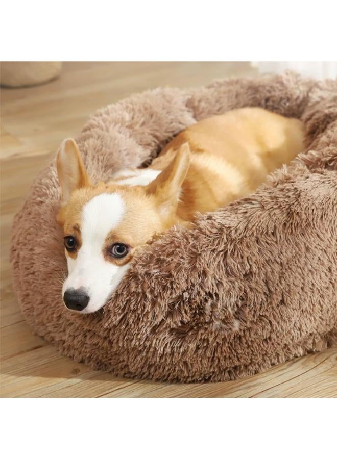مورو مورو سرير كلاب مخملي تقويمي مع فراء ناعم وقاعدة بلاستيكية - عش مريح وقابل للغسل للحيوانات الأليفة - Image 1