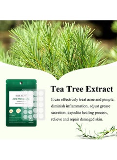 Breylee Acne Pimple Patch Acne Healing and Blemish Spot Treatment Clear  - Image 3