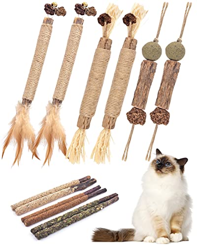TINDTOP Catnip Chew Toys for Cats 12 Pack Natural Silvervine Sticks for Kittens Teeth Cleaning Matatabi Dental Care Increase Appetite Calm Cat Anxiety and Stress Aggressive Chewers Cat Dental Toy - Image 1