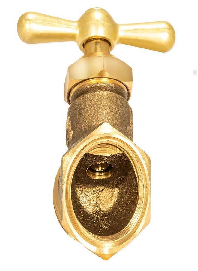 إيست مان صنبور خرطوم أنثى من إيستمان، مانع للالتواء، مقاس 3/4 بوصة، وصلة سباكة نحاسية، 20203 - Image 2