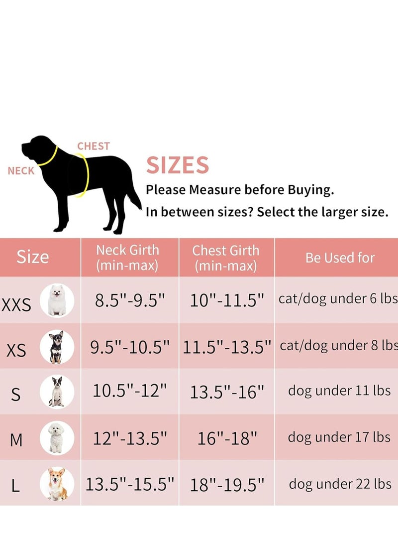 Vparty - Dog Harness for Small & Medium Dogs, No Pull Puppy Harness and Leash Set, Easy Walk Dog Harness for Walking, Running, and Training, Comfortable Small Dog and Medium Dog Harness, Adjustable, Durable, Perfect for Everyday Use - Image 1