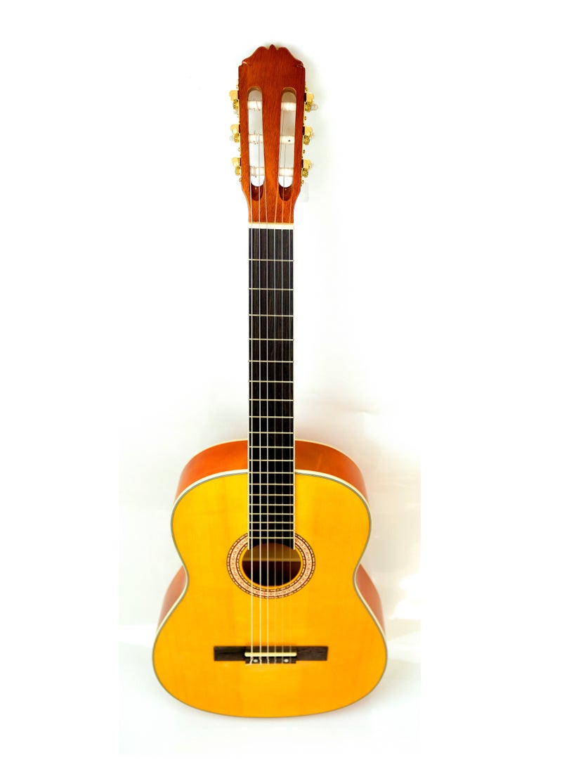 Mike Music Mike Music Full Size Nylon-String Classical Guitar with Bag Free Bag/Capo/A Pack of Extra Strings/Picks (39C, Brown) - Image 3