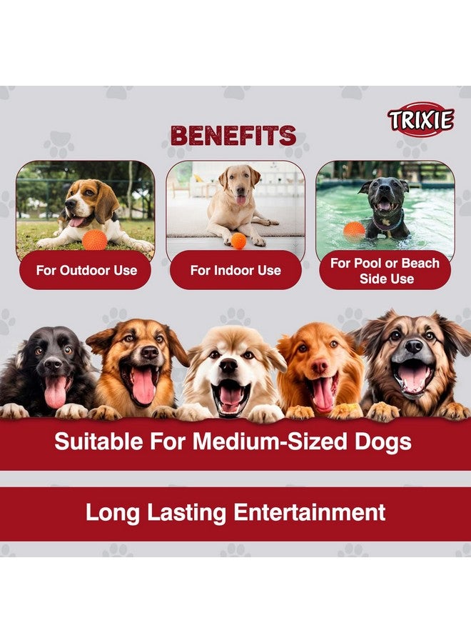 تريكسي لعبة كرة مضغ القنفذ للكلاب، لعبة مضغ متينة وغير سامة، مصنوعة من الفينيل، مسامير ناعمة تساعد في تنظيف وتدليك اللثة، تتحكم في المزيد من تراكم البلاك والجير - 10 سم - Image 5