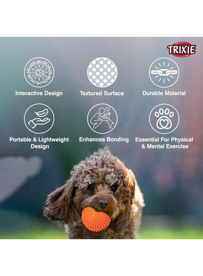 تريكسي لعبة كرة مضغ القنفذ للكلاب، لعبة مضغ متينة وغير سامة، مصنوعة من الفينيل، مسامير ناعمة تساعد في تنظيف وتدليك اللثة، تتحكم في المزيد من تراكم البلاك والجير - 10 سم - Image 4