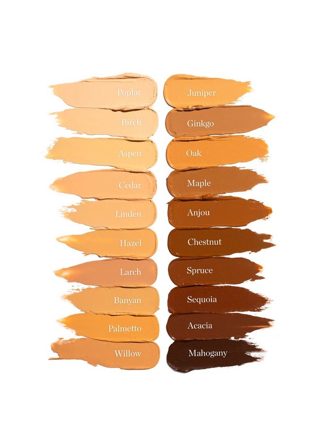 OGEE Ogee Sculpted Complexion Foundation Stick (Oak 5.5N - Medium Beige, Golden Undertones) Full Coverage Foundation Makeup - Instantly Balance & Even Complexion - 70% Organic Ingredients  - Image 5