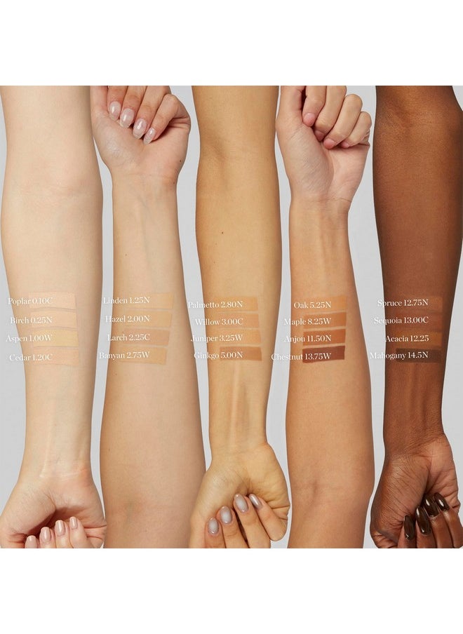 OGEE Ogee Sculpted Complexion Foundation Stick (Oak 5.5N - Medium Beige, Golden Undertones) Full Coverage Foundation Makeup - Instantly Balance & Even Complexion - 70% Organic Ingredients  - Image 4