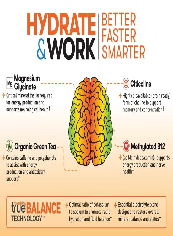 Great Naturally Focus+ محلول إلكتروليتي منشط للدماغ: ترطيب ودعم للدماغ لتحسين الإدراك والذاكرة والتركيز - سيتيكولين، كافيين عضوي، ميثيل B12 - صنع في الولايات المتحدة الأمريكية (10 أكياس) (10 أكياس، برتقالي) - Image 3