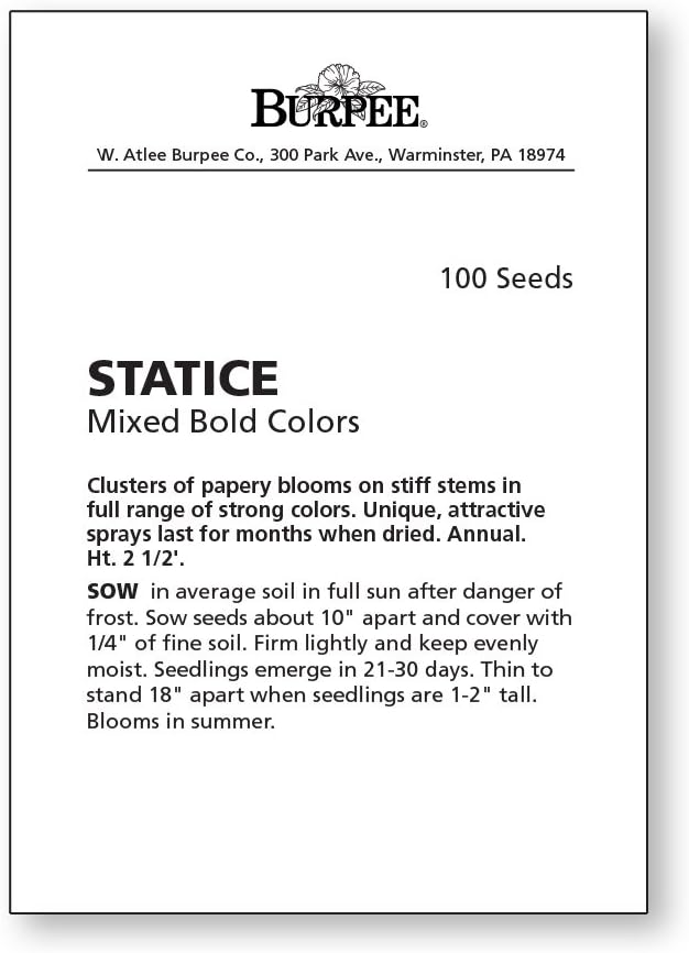 Burpee بذور ستاتيس مختلطة بألوان جريئة 100 بذور - Image 3