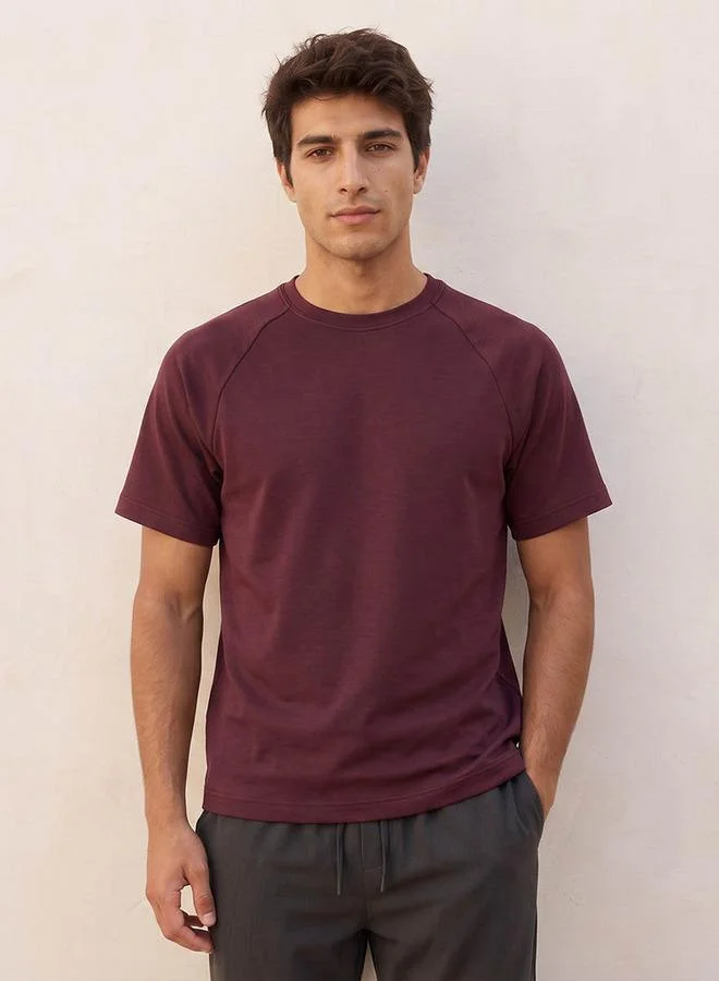 Love Pangolin Love Pangolin Raglan Sleeves T-shirt