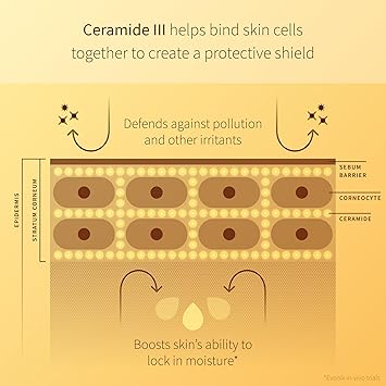 Antipodes واقي شمس الوجه من أنتيبودز سوبرناتشورال SPF50 سيراميد حرير 60 مل - Image 3
