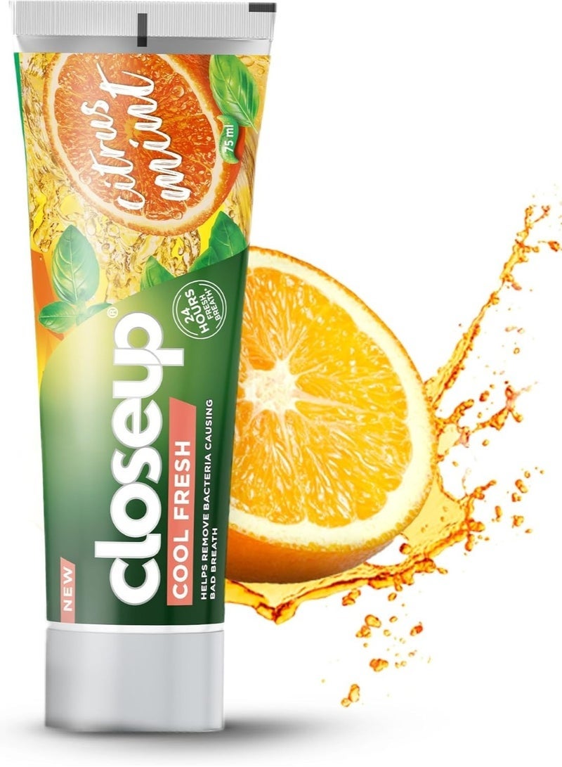 Close Up Fresh Breath Toothpaste with Lemon & Mint Extract 75ml - Image 2