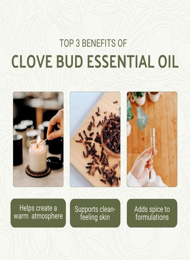 Nature Packaged Clove Essential Oil - 100% Pure Steam Distilled Natural Aceite de Clavo from Indonesia for Aromatherapy & Wellness - Premium Grade - 8oz - Image 2