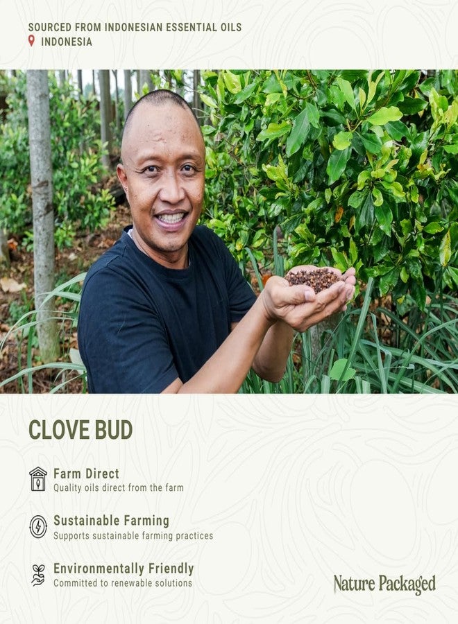Nature Packaged Clove Essential Oil - 100% Pure Steam Distilled Natural Aceite de Clavo from Indonesia for Aromatherapy & Wellness - Premium Grade - 8oz - Image 3