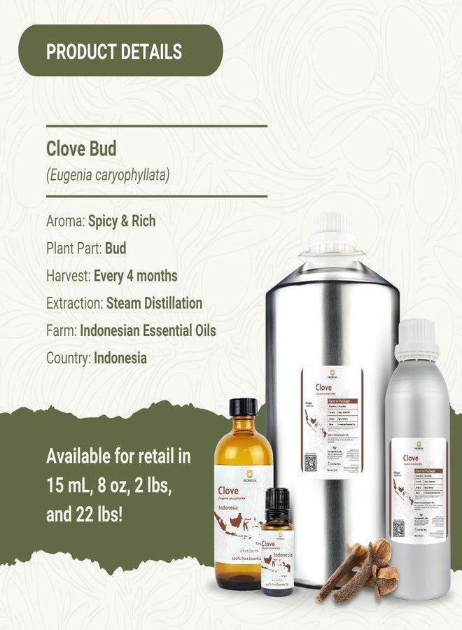 Nature Packaged Clove Essential Oil - 100% Pure Steam Distilled Natural Aceite de Clavo from Indonesia for Aromatherapy & Wellness - Premium Grade - 8oz - Image 5