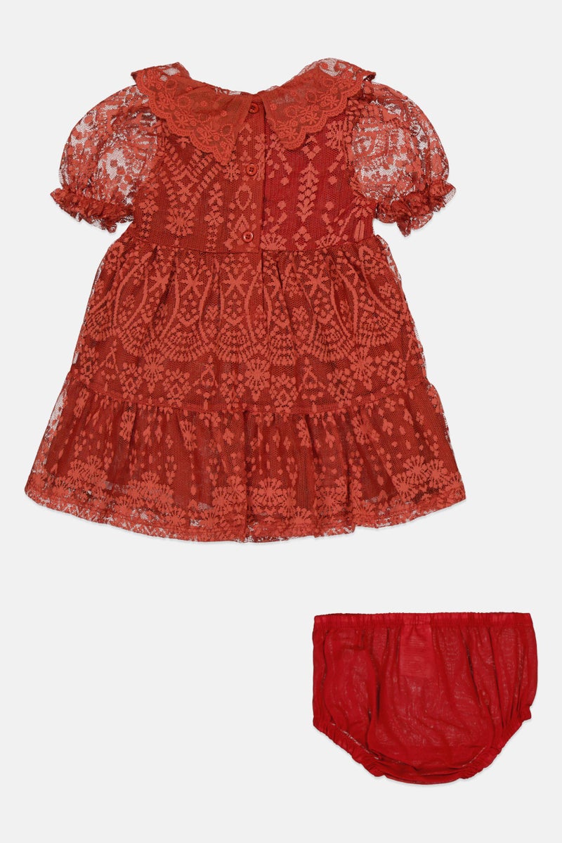 Nanette lepore Toddlers Girl 2Pcs Textured Dress With Panty Set, Rust - Image 3