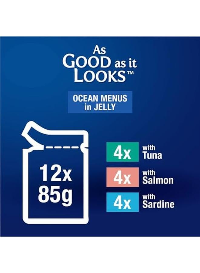 فيلكس طعام القطط الرطب اللذيذ بشكل مضاعف، بقائمة طعام المحيط، 85 جم، عبوة من 12 قطعة - Image 3