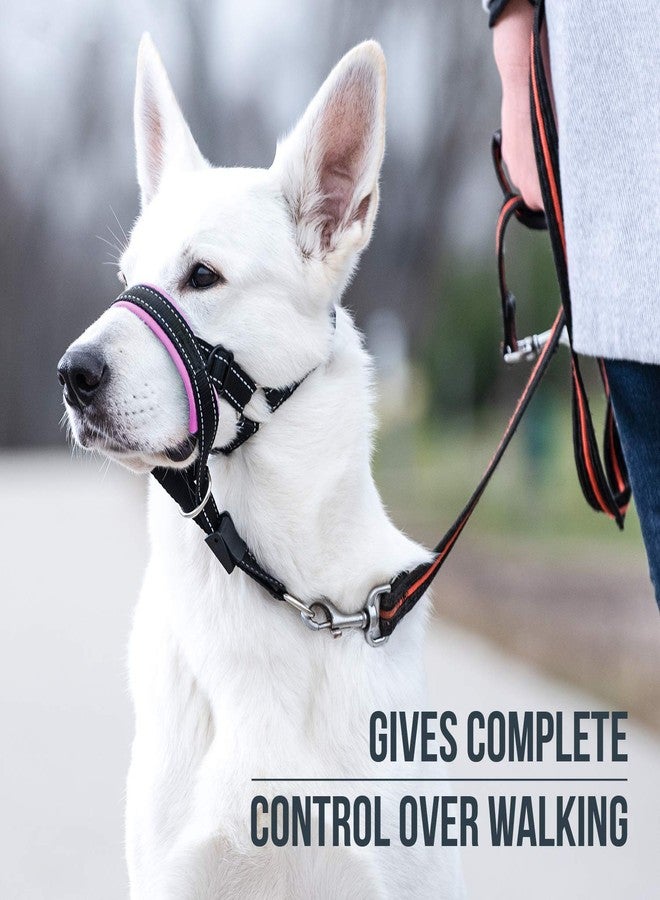 GoodBoy Dog Head Halter with Safety Strap - Stops Heavy Pulling On The Leash - Padded Headcollar for Small Medium and Large Dog Sizes - Head Collar Training Guide Included (Size 4, Pink) - Image 2