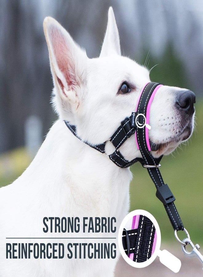 GoodBoy Dog Head Halter with Safety Strap - Stops Heavy Pulling On The Leash - Padded Headcollar for Small Medium and Large Dog Sizes - Head Collar Training Guide Included (Size 4, Pink) - Image 4