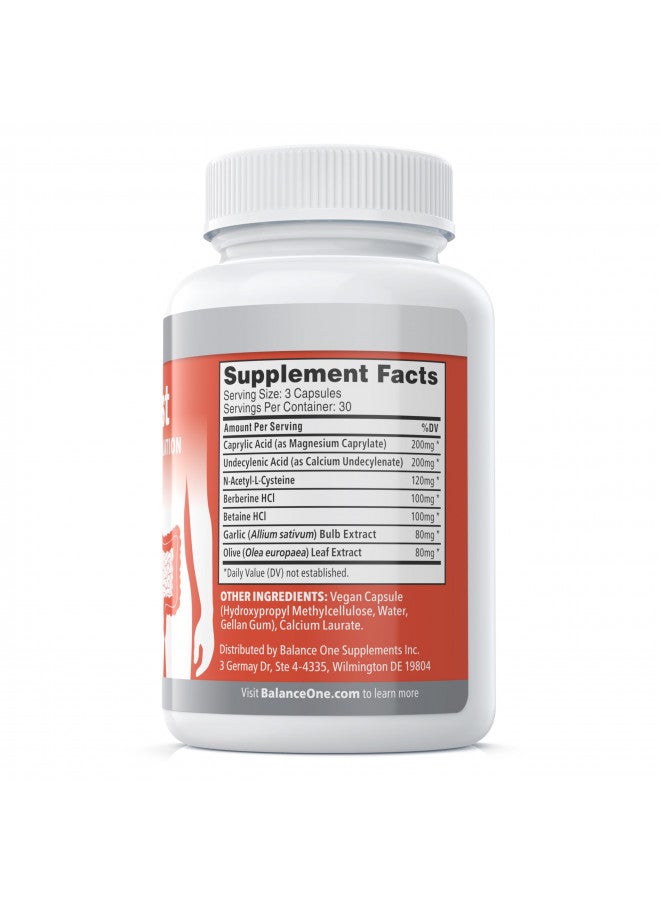 Balance ONE Balance ONE CandAssist Intestinal Flora Balance - Caprylic Acid, Oregano, Berberine - Delayed Release Capsules - Vegan, Non-GMO - 30 Day Supply - Image 2