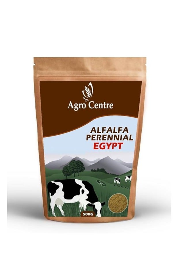 Generic AGROCENTRE Organic Alfalfa Seeds Hedge Lucerne High Alfalfa | 5 layer Cut | Protein Grass Seeds for Cultivation | Made in Egypt| Farmers choice | 500g 