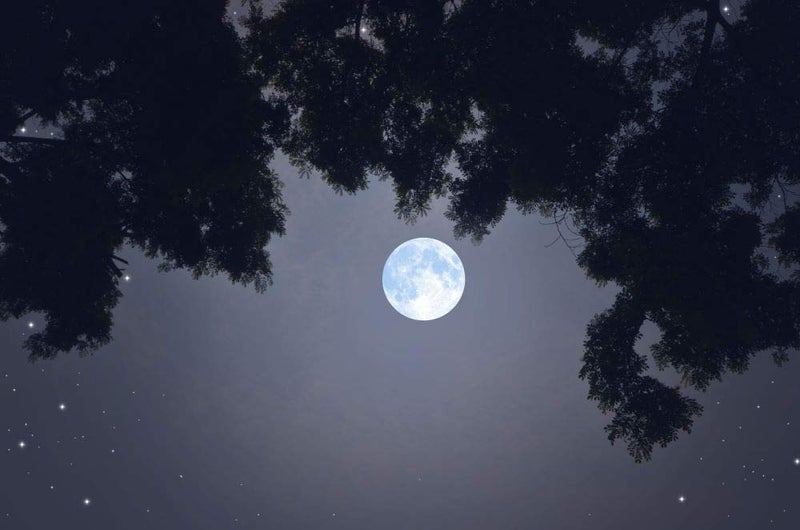 5 Ace 5 AceBeautiful romantic full moon Wall Sticker Poster|size:12x18 inch|Multicolor - Image 4