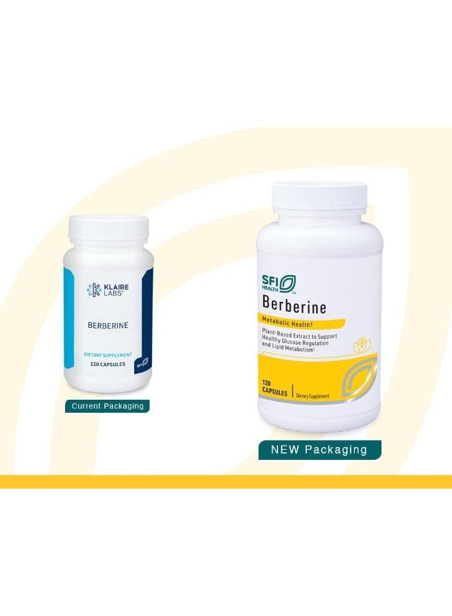 إس إف آي هيلث بربارين هيدروكلوريد 500 ملجم 120 كبسولة - Image 2