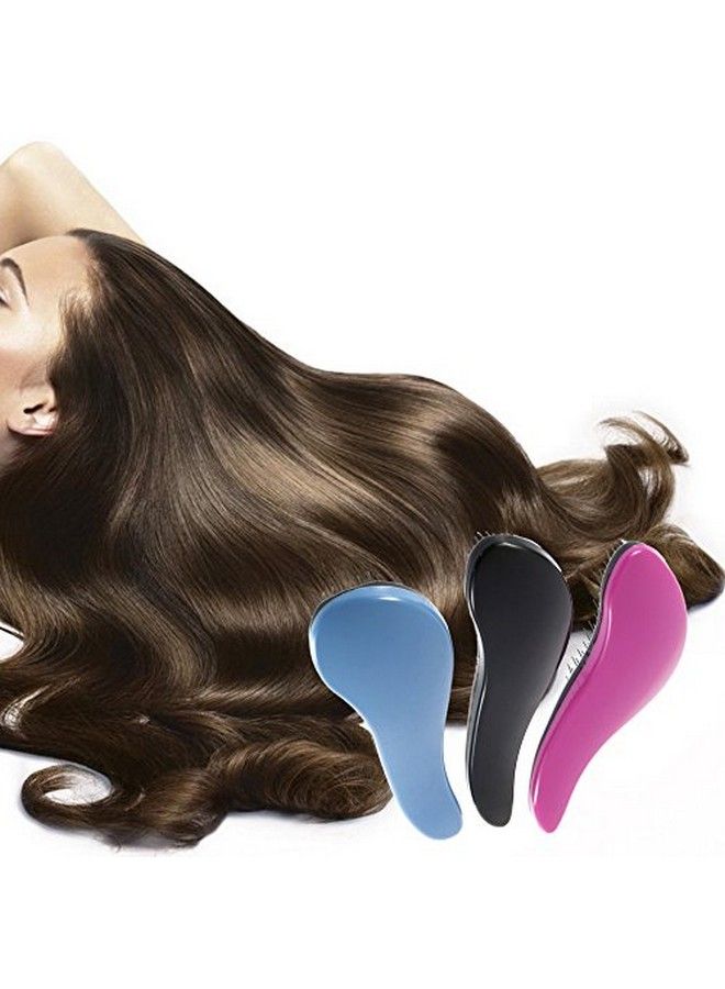 Alexvyan 1 Pcs Detangler Hair Comb Massage Hair brush Women Men Wet Hair Brush for Salon Hairdressing Styling Tools1 - Image 5