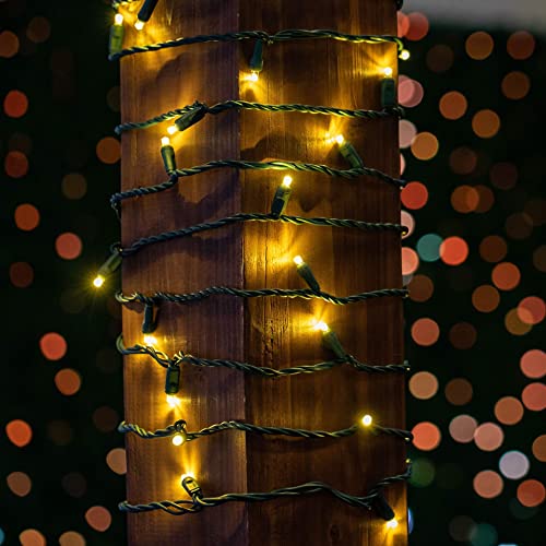 Novelty Lights 34ft 100 LED Warm White Christmas Lights Outdoor/Indoor, 4" Spacing, Green Wire String Lights for Festive Xmas Lighting, IP55, UL Listed, Dimmable, Connectable - Image 3