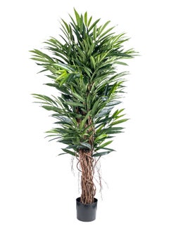 Gulf Flowers 122cm Artificial deluxe longifolia Tree with real trunk