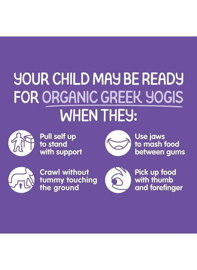 هابي فاميلي - وجبات خفيفة للأطفال من Happy Baby Organics، وجبات خفيفة من الزبادي المجفف بالتجميد والخضروات والفواكه من Greek Yogis، خالية من الجلوتين للأطفال بعمر 9 أشهر فما فوق، التوت الأزرق والجزر الأرجواني، 1 أونصة - Image 1