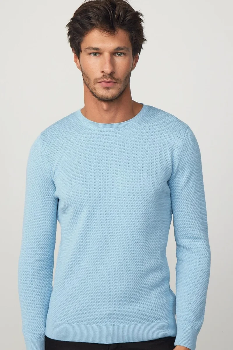 Tudors Slim Fit Crew Neck Honeycomb Patterned Blue Men's Knitwear Sweater